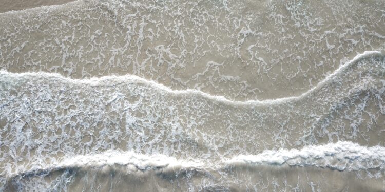 The 5 Steps To A Blissful Lifestyle: The Secret To Having 100% Happiness