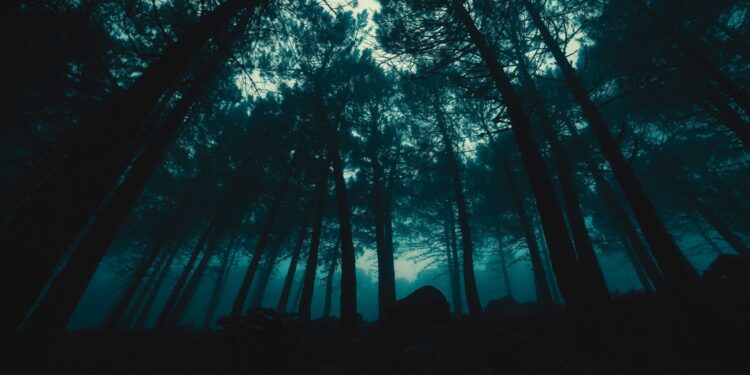 What is the fear of travel called?