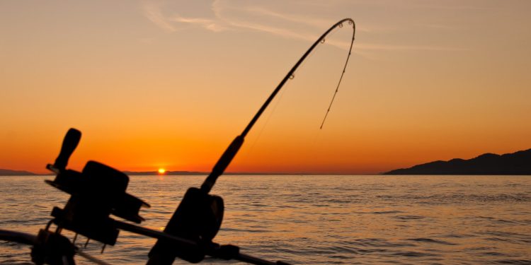 Discover the Best Fishing Gear with Official-Flagman!