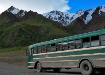 Escape into a Literary Journey: Unwind with a Book on Your FlixBus Trip