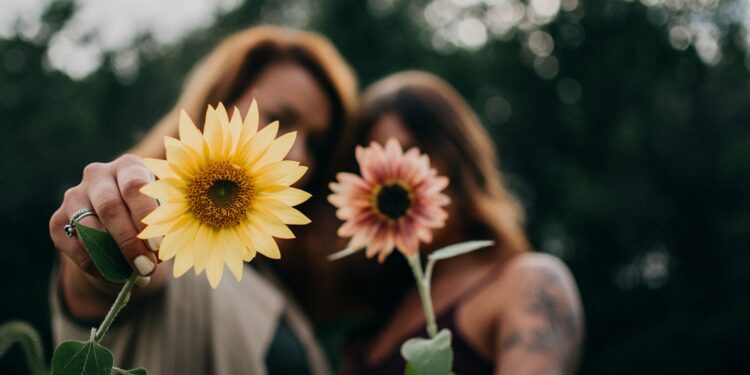 Stay Chic and Comfortable: Shop the Best Casual Clothing from Seed Heritage