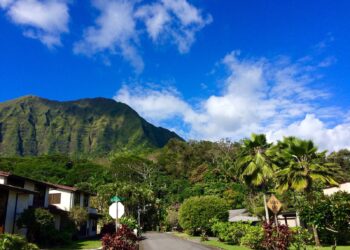 From A to B: Navigating the World of Bus Travel with Omio