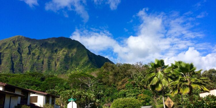 From A to B: Navigating the World of Bus Travel with Omio