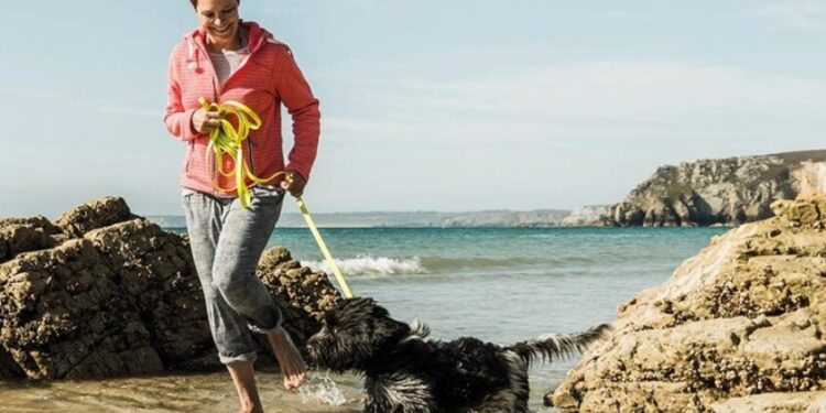 Exploring the Benefits of Using TrustedHousesitters for Your Next Adventure