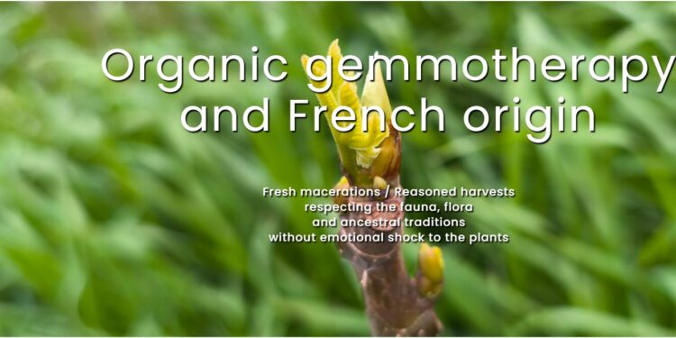 Exploring Biogemm: A Deep Dive into Innovative Solutions for Health and Wellness