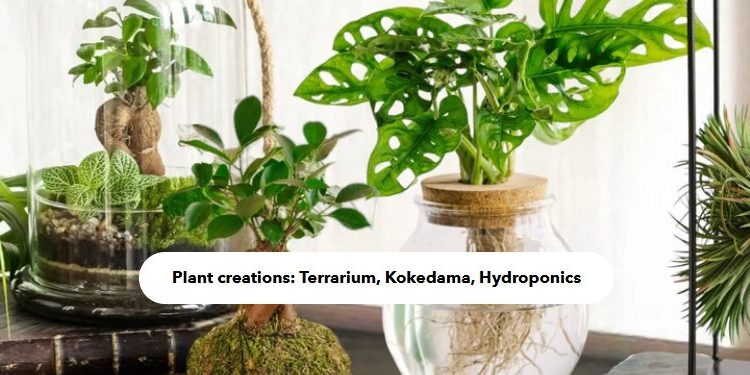 La Green Touch: Your Ultimate Guide to Eco-Friendly Products and Practices