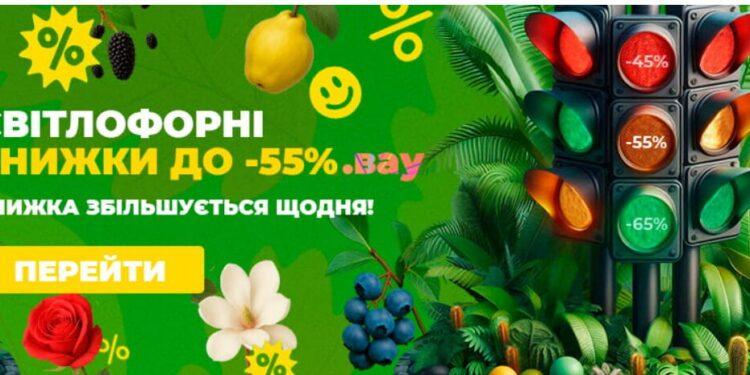 Unlocking Nature’s Potential: Exploring Agromarket’s Online Seed Store