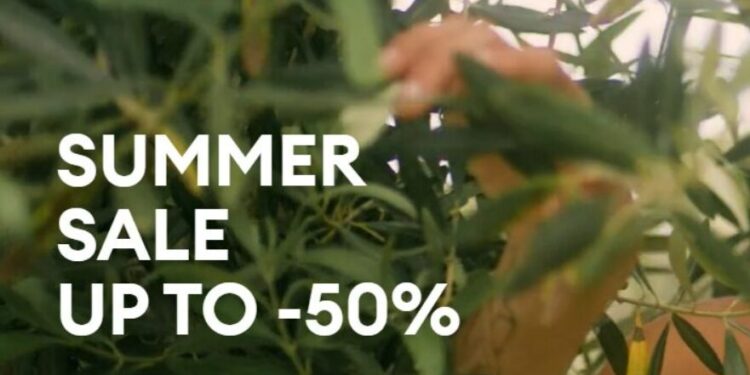 Answear Your Fashion Needs: A Comprehensive Guide to Shopping for Clothing and Accessories