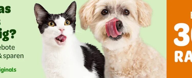 Exploring the Range: What You Can Find at Zooplus Pet Care Store